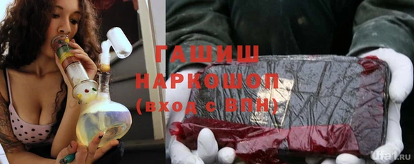 прущие грибы Новозыбков