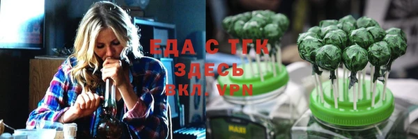 индика Янаул
