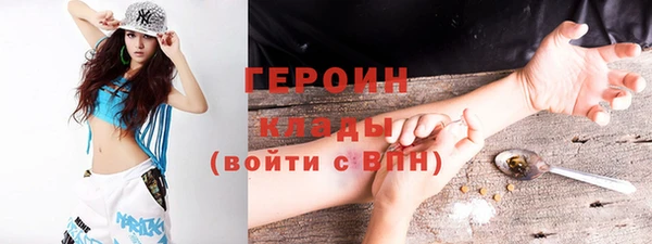 прущие грибы Новозыбков