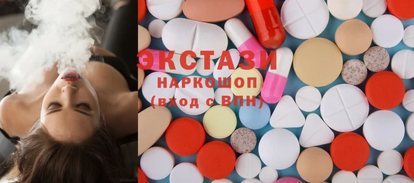 прущие грибы Новозыбков