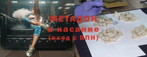 прущие грибы Новозыбков