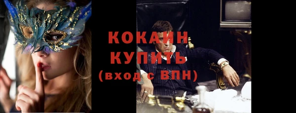 хмурый Нея