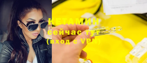 прущие грибы Новозыбков