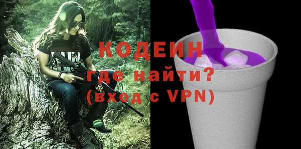прущие грибы Новозыбков
