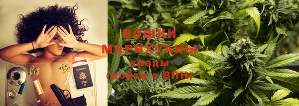 прущие грибы Новозыбков