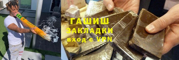 прущие грибы Новозыбков