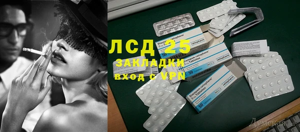 прущие грибы Новозыбков