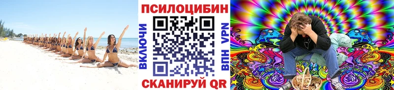 blacksprut рабочий сайт  Питкяранта  Псилоцибиновые грибы Psilocybine cubensis 